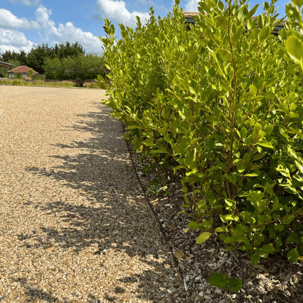 An image example of steel lawn edging and planters