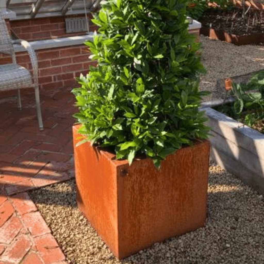 An image example of steel lawn edging and planters