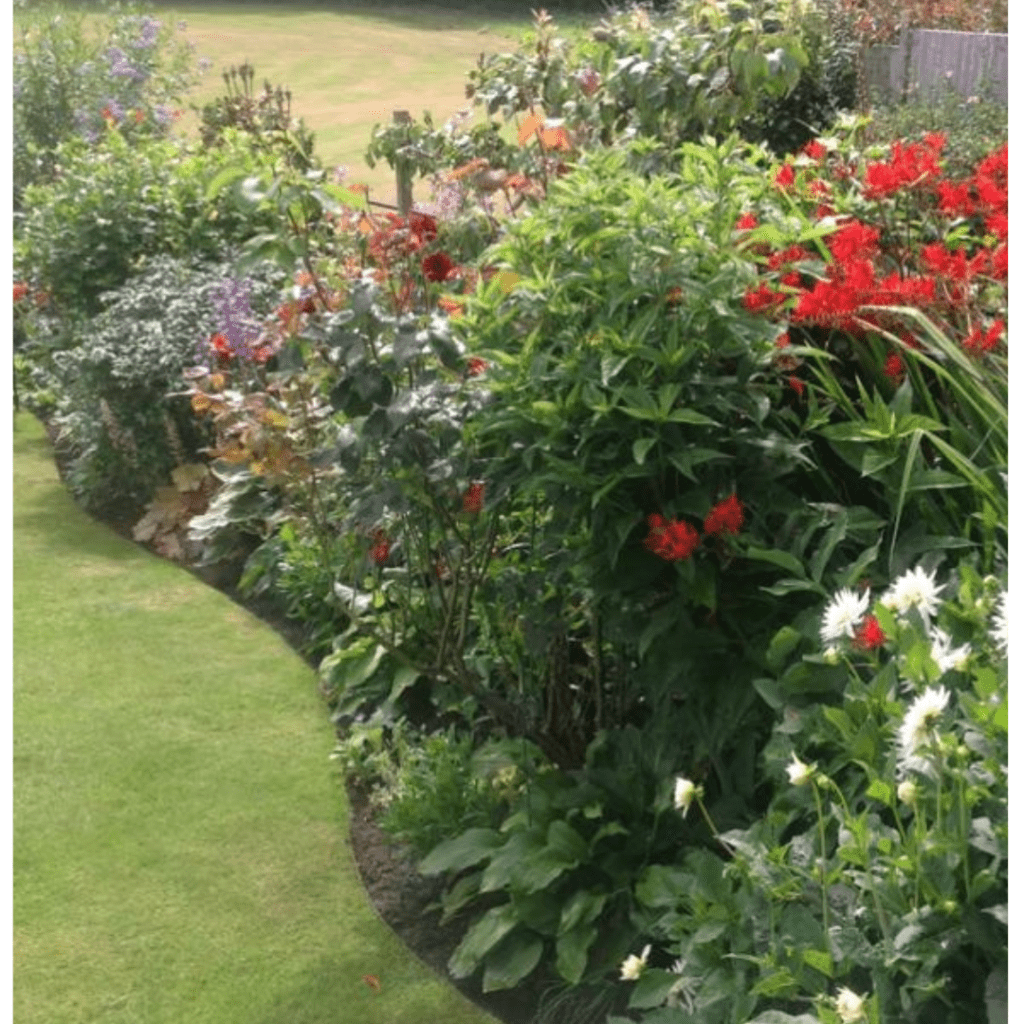 Steel Lawn Edging and Planters 5